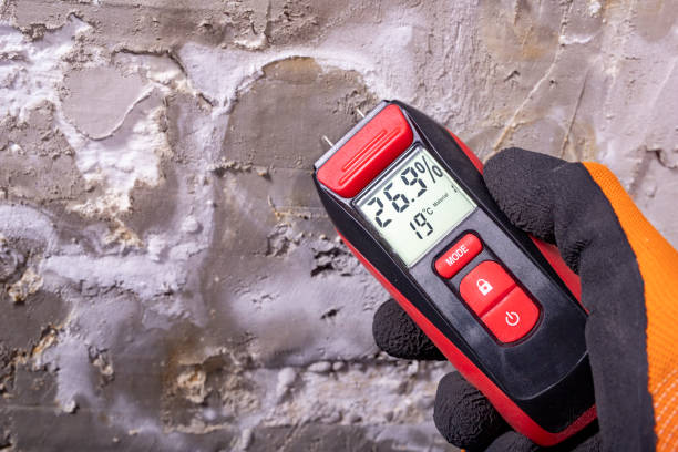 Best Same-Day Mold Removal  in Kennedale, TX