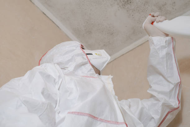 Best Toxic Mold Removal  in Kennedale, TX