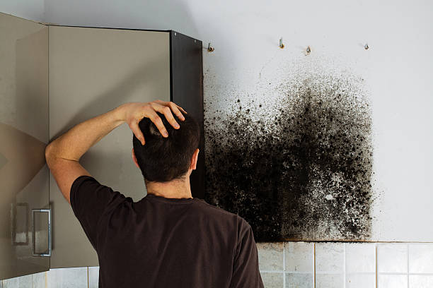 Best Mold Testing  in Kennedale, TX