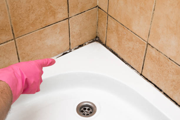 Best Affordable Mold Removal  in Kennedale, TX